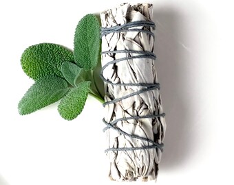 4&quot; White Sage Smoke Cleansing Stick - Energy Healing | Cleansing | Air Purifier | Detox | Meditation Tools | Selfcare gifts | Holistic Herbs
