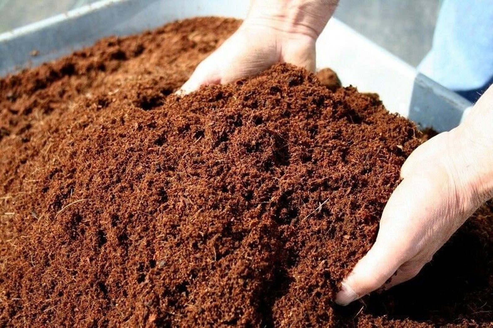 Coconut Coir Coco Peat Compost Cocopeat Fibre Pith Organic Etsy