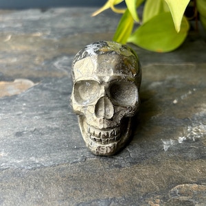 Pyrite Skull #1 - Protection, Stability