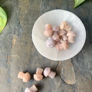 Flower Agate Mini Mushrooms/Sakura agate - Manifestation, Reaching full potential