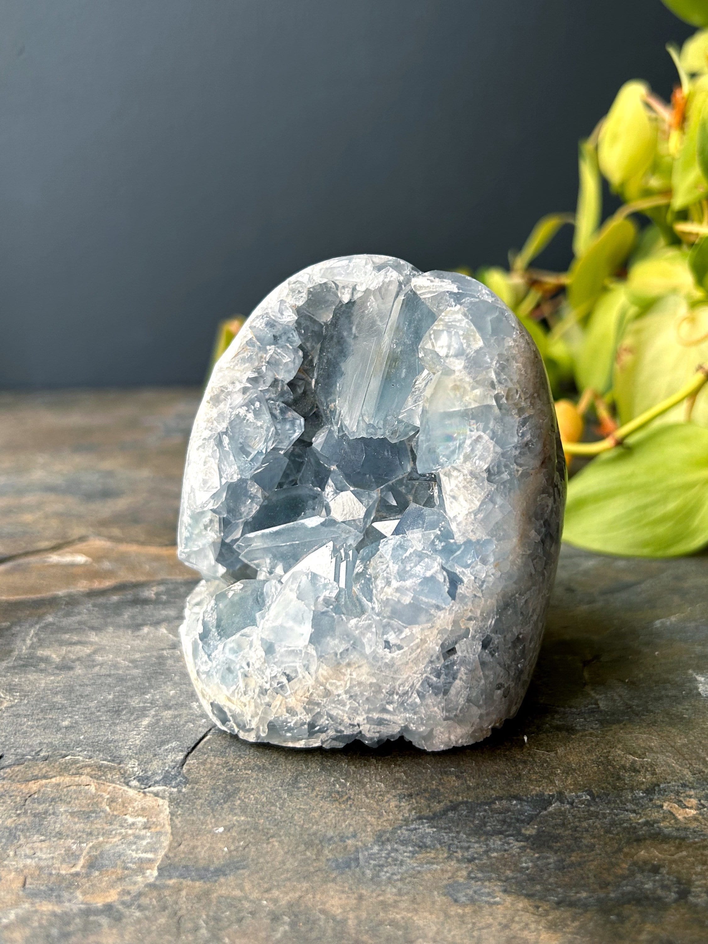 Celestite Cut Base Geode - Beautiful Color - Etsy