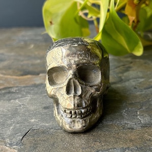 Pyrite Skull #3- Protection, Stability