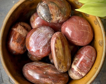 Petrified Wood Palmstones