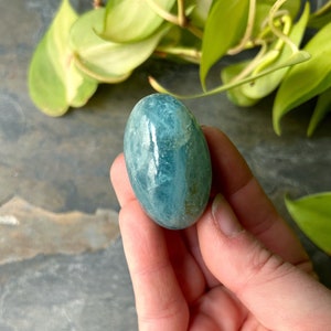 Aquamarine Lingam Palmstone: Tranquility Pocket Stone