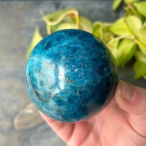 Apatite Sphere- Beautiful Color! High Grade