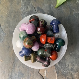 Gemstone Mini Mushrooms- You choose the stone!