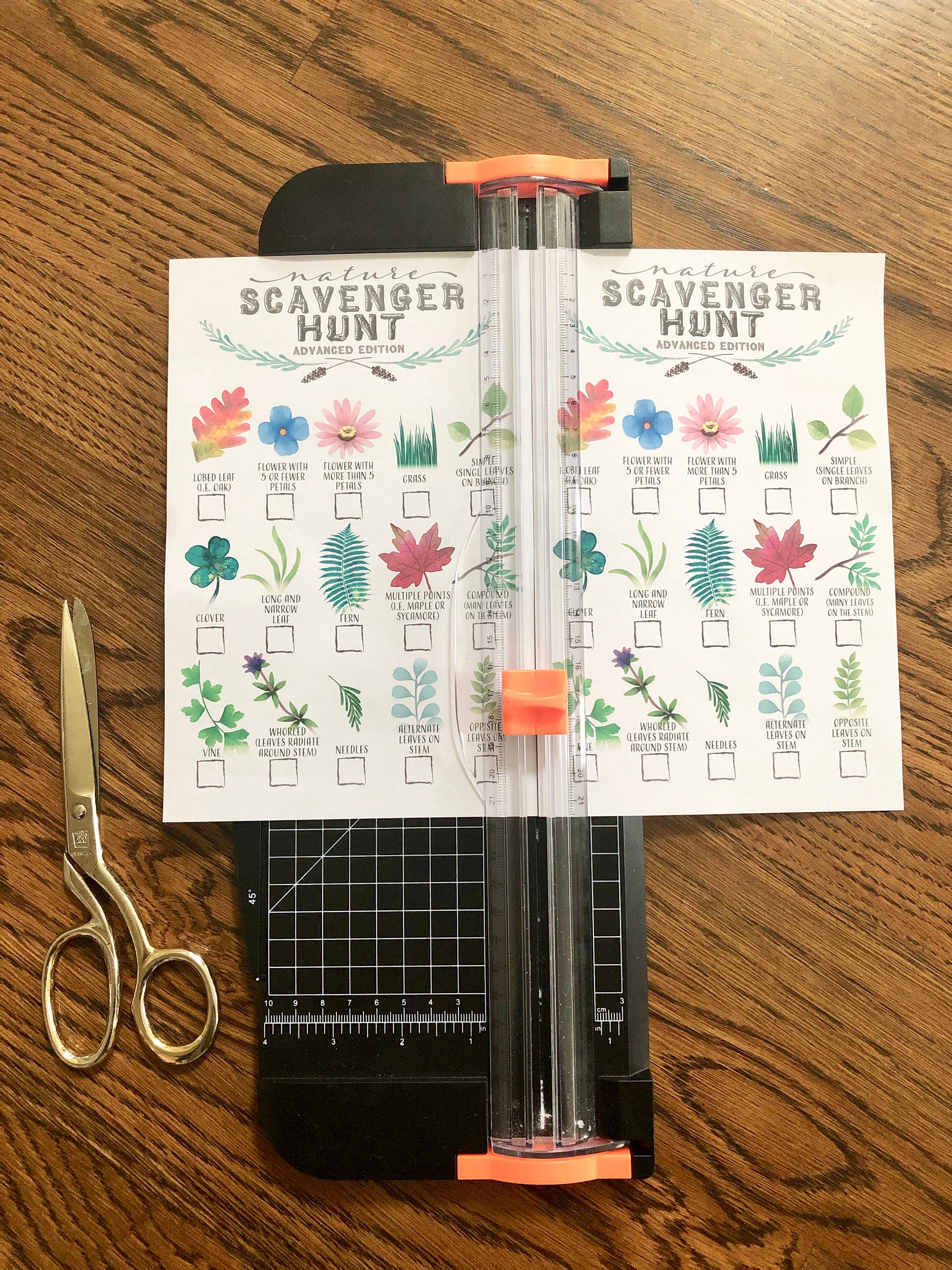 Printable Leaf Identification Nature Scavenger Hunt for Kids Trail ...
