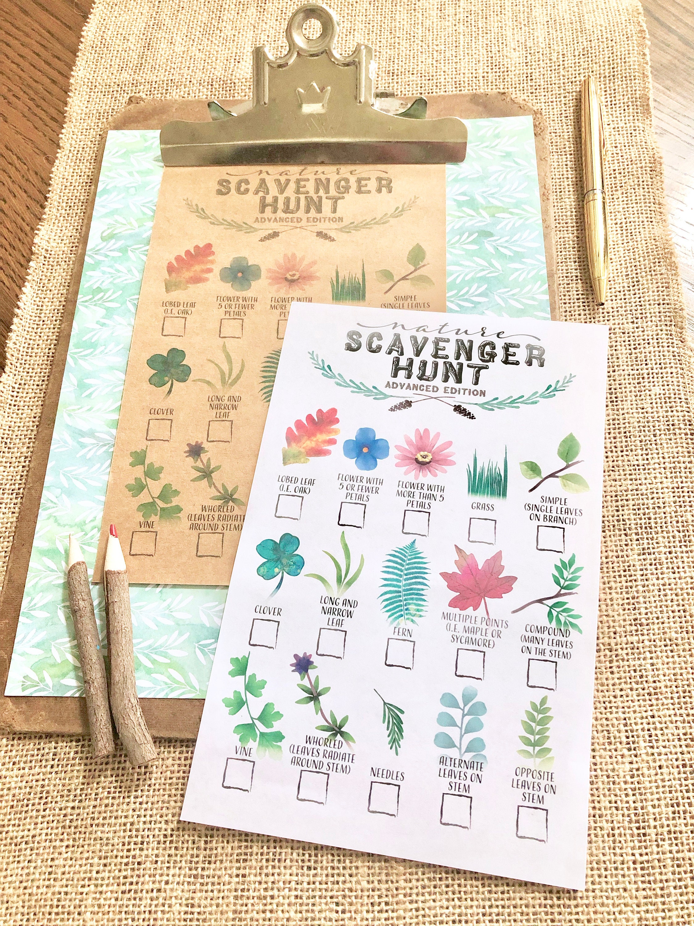 Printable Leaf Identification Nature Scavenger Hunt for Kids Trail ...