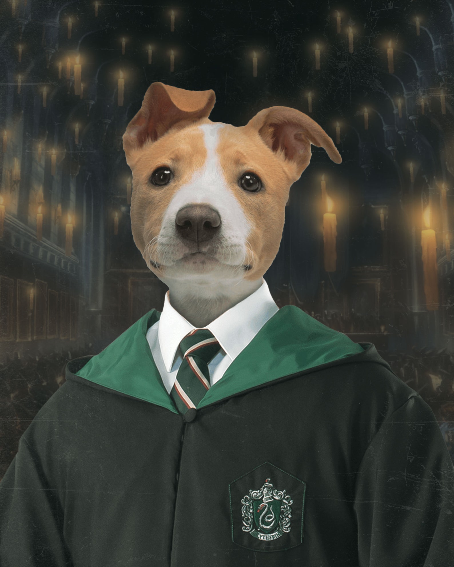 Harry Potter Slytherin Pet Portrait Custom Pet Portrait Etsy
