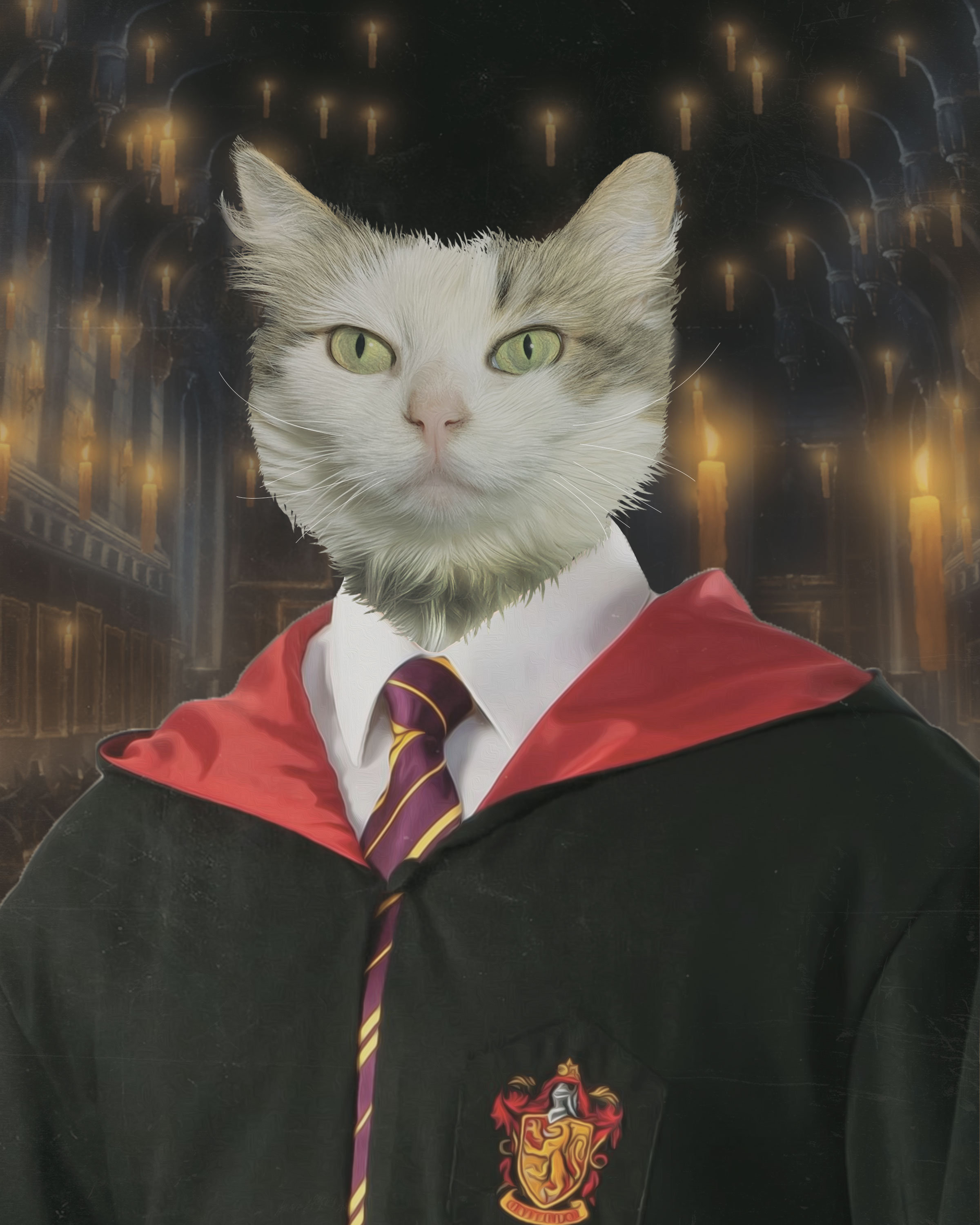 Harry Potter Slytherin Pet Portrait Custom Pet Portrait Etsy