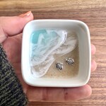 Turtle Jewelry