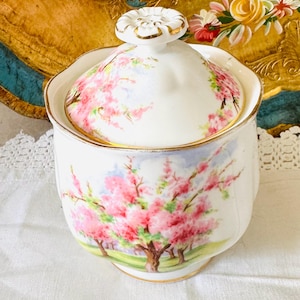 Peut inclure: Un sucrier en céramique blanc avec un couvercle, orné d'un motif de fleurs de cerisier roses. Le sucrier a une bordure dorée et une poignée décorative sur le couvercle. Le motif comprend des arbres roses, de l'herbe verte et un ciel bleu.