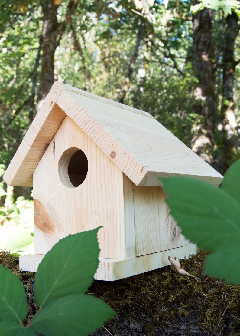 Build A Birdhouse Home Living Outdoor Gardening Delage Com Br