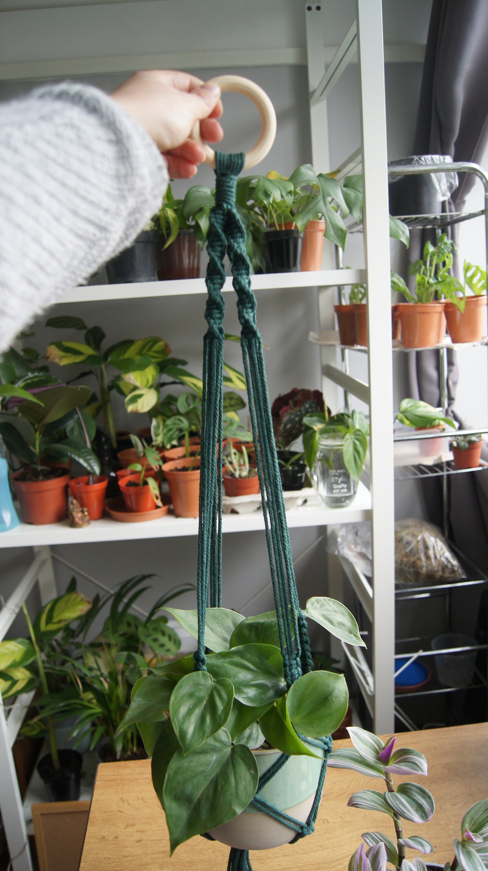 DIY Macramé Plant Hanger Kit Make your own Tutorial Etsy