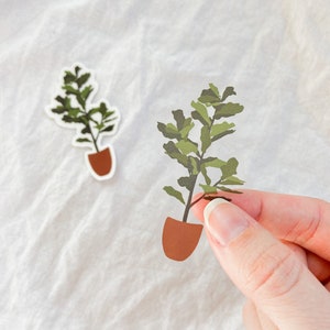 Feigenblatt PflanzenSticker⎮klein sticker⎮transparent⎮Plant Mom⎮illustrated plant laptop sticker⎮clear window sticker⎮window dekor
