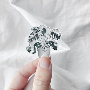 autocollant en vinyle imperméable à l’eau plant monstera, illustration monstera varieagata, autocollant végétal minimaliste mignon, cadeau de maman végétale, amoureux des plantes