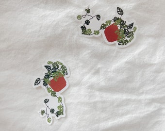 Pegatina de Monstera Adansonii: vinilo impermeable para portátil y botella de agua.