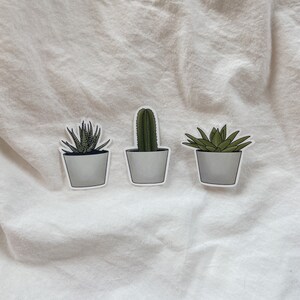 conjunto de pegatinas de vinilo impermeables para plantas de cactus⎮mamá de plantas⎮juego de pegatinas⎮pegatinas para plantas de interior⎮pegatinas para diarios⎮cuadernos⎮decoración de botellas de agua