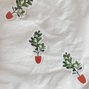 planta folha de figueira adesivos de vinil à prova d'água⎮mãe da planta⎮decoração de garrafa de água⎮adesivo ilustrado para laptop de planta⎮arte minimalista em vinil