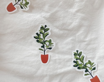 Pegatina de árbol de hoja de higo: calcomanía impermeable para laptop de Plant Mom para botella de agua