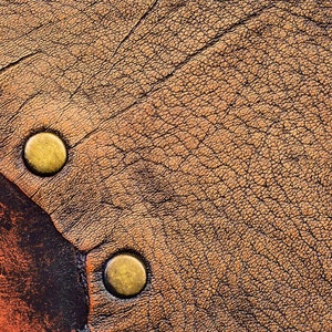 May include: Close-up of a brown leather surface with a textured pattern. The leather is accented with four gold metal rivets along the edge.
