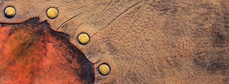 May include: Close-up of a brown leather surface with a textured pattern. The leather is accented with four gold metal rivets along the edge.