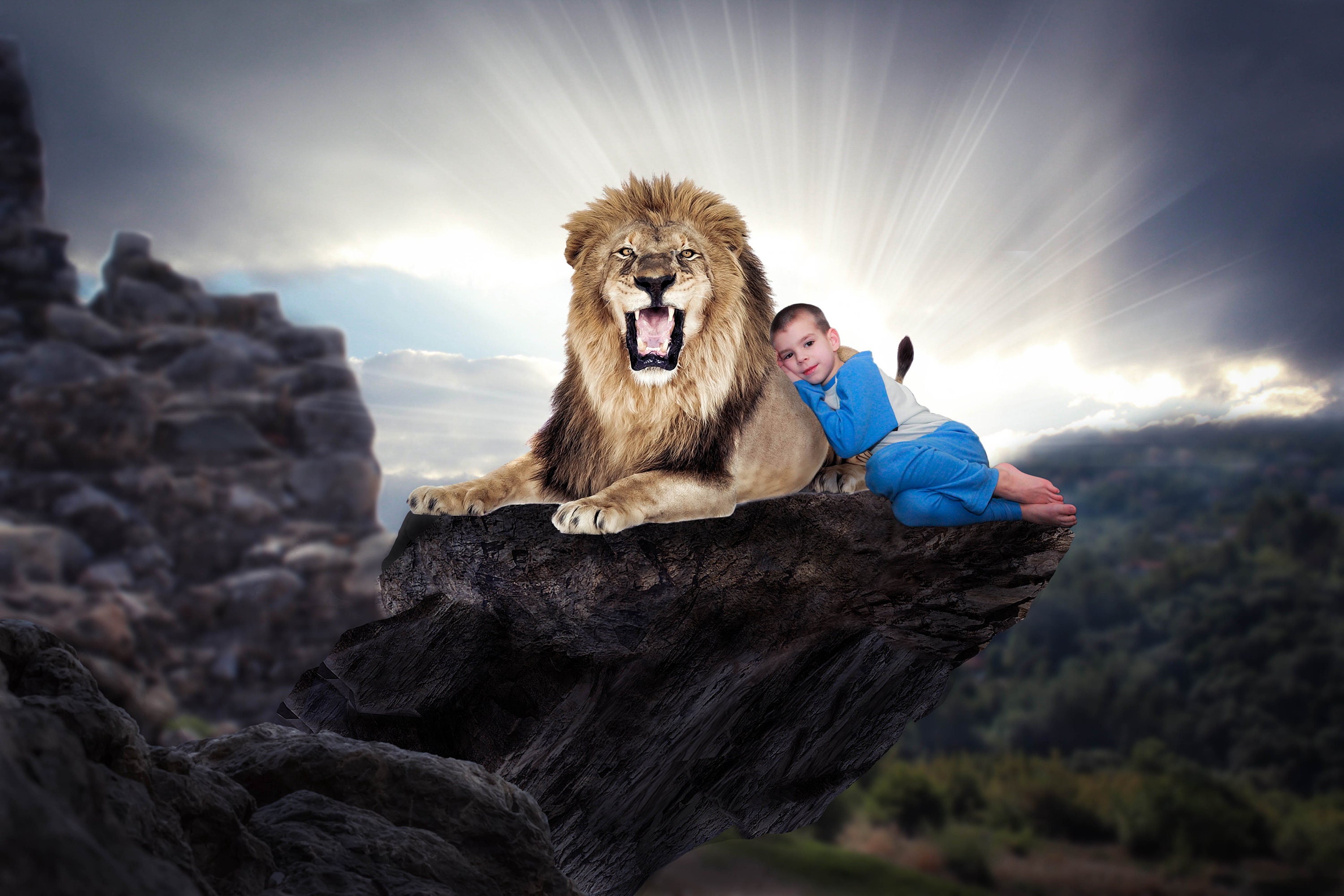 Lion Digital Background / Newborn / Kids / Portrait - Etsy