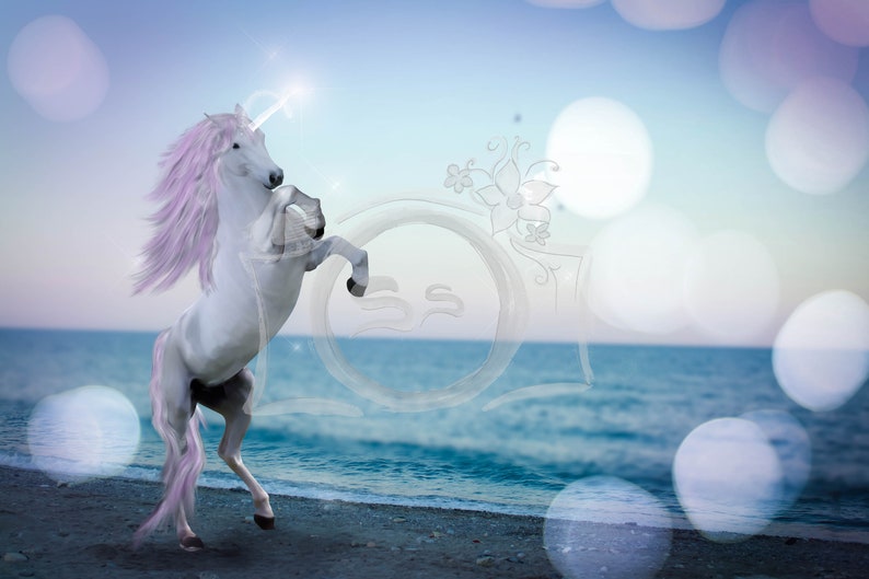 Magical unicorn on a beach digital background / newborn / kids | Etsy