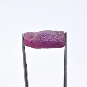 May include: A rough, uncut ruby gemstone, held by metal tweezers against a white background. The ruby is a deep, vibrant pinkish-red color, with a textured surface. The gemstone is approximately 1 inch in length.