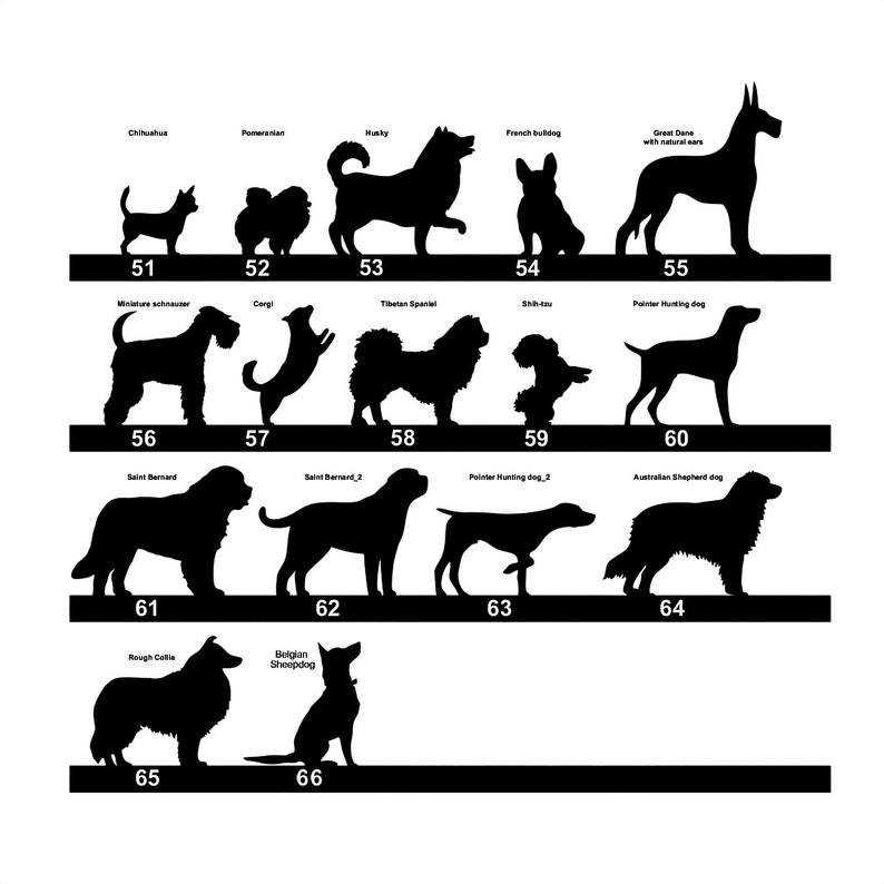 May include: Silhouettes of 16 different dog breeds, including a Chihuahua, Pomeranian, Husky, French Bulldog, Great Dane, Miniature Schnauzer, Corgi, Tibetan Spaniel, Shih Tzu, Pointer Hunting Dog, Saint Bernard, Pointer Hunting Dog 2, Australian Shepherd Dog, Rough Collie, and Belgian Sheepdog. The silhouettes are black against a white background.