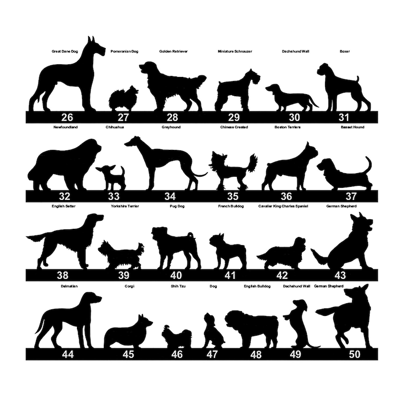 May include: Black and white silhouette illustrations of various dog breeds, numbered 26 through 50. The dog breeds are listed above each silhouette.