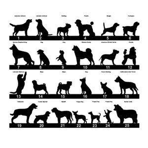May include: A black and white illustration of 25 different dog breeds, including Labrador Retriever, German Shepherd, Bulldog, Poodle, Beagle, Cockapoo, Mops, Siberian Husky, American Pit Bull Terrier, French Bulldog, Staffordshire Bull Terrier, Rottweiler, Cocker Spaniel, Mastiff, Puppy Dog, Border Collie.