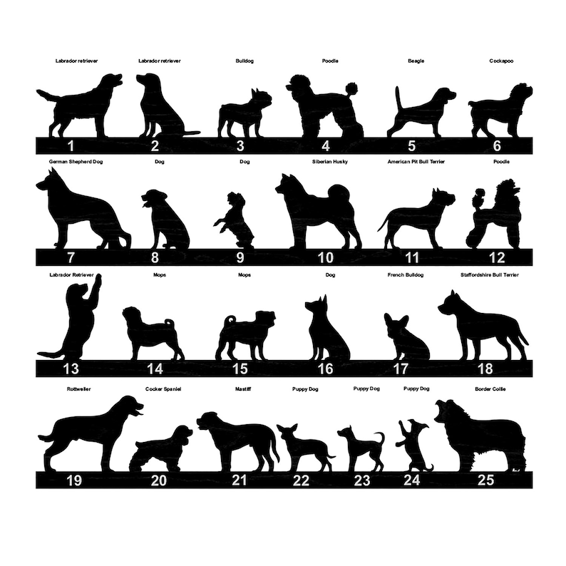 May include: A black and white illustration of 25 different dog breeds, including Labrador Retriever, German Shepherd, Bulldog, Poodle, Beagle, Cockapoo, Mops, Siberian Husky, American Pit Bull Terrier, French Bulldog, Staffordshire Bull Terrier, Rottweiler, Cocker Spaniel, Mastiff, Puppy Dog, Border Collie.