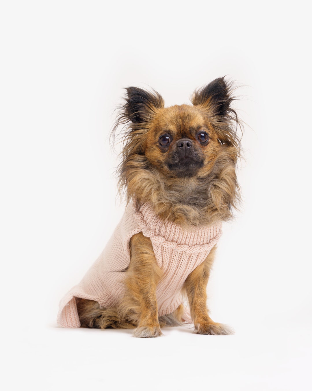 Merino Dog Sweater, Wool Dog Coat Etsy