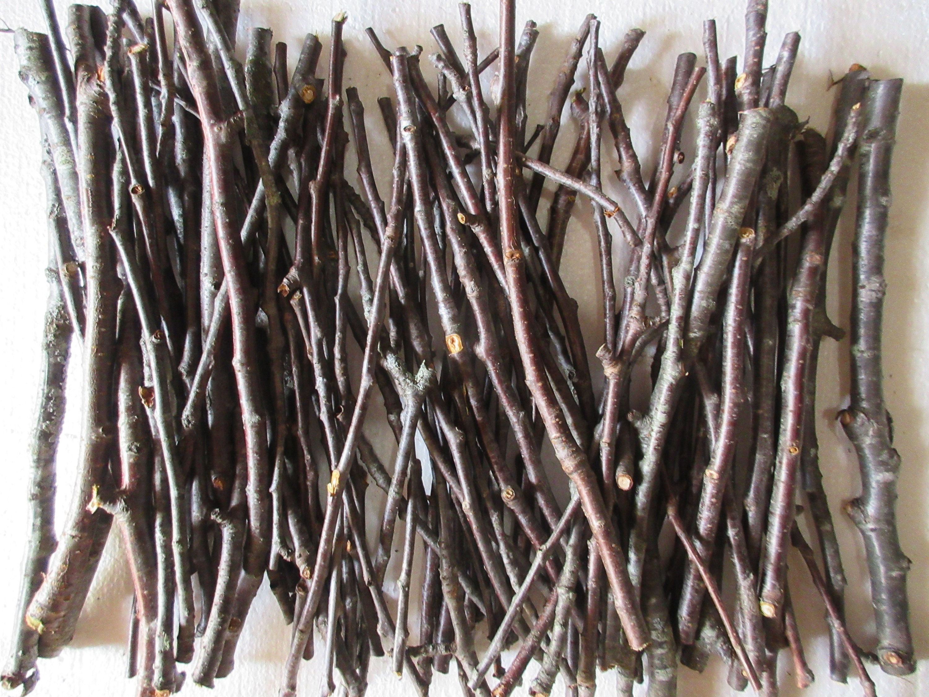 Cherry tree twigs, craft sticks and branches, twig craft supplies, natural  craft supplies, florist's supply