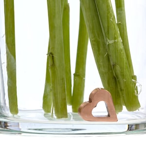 Flower Food Alternative For Fresh Cut Flowers, Copper Charm Stops Bacteria Growth In Your Flower Water, Just Place It In The Vase, Reusable