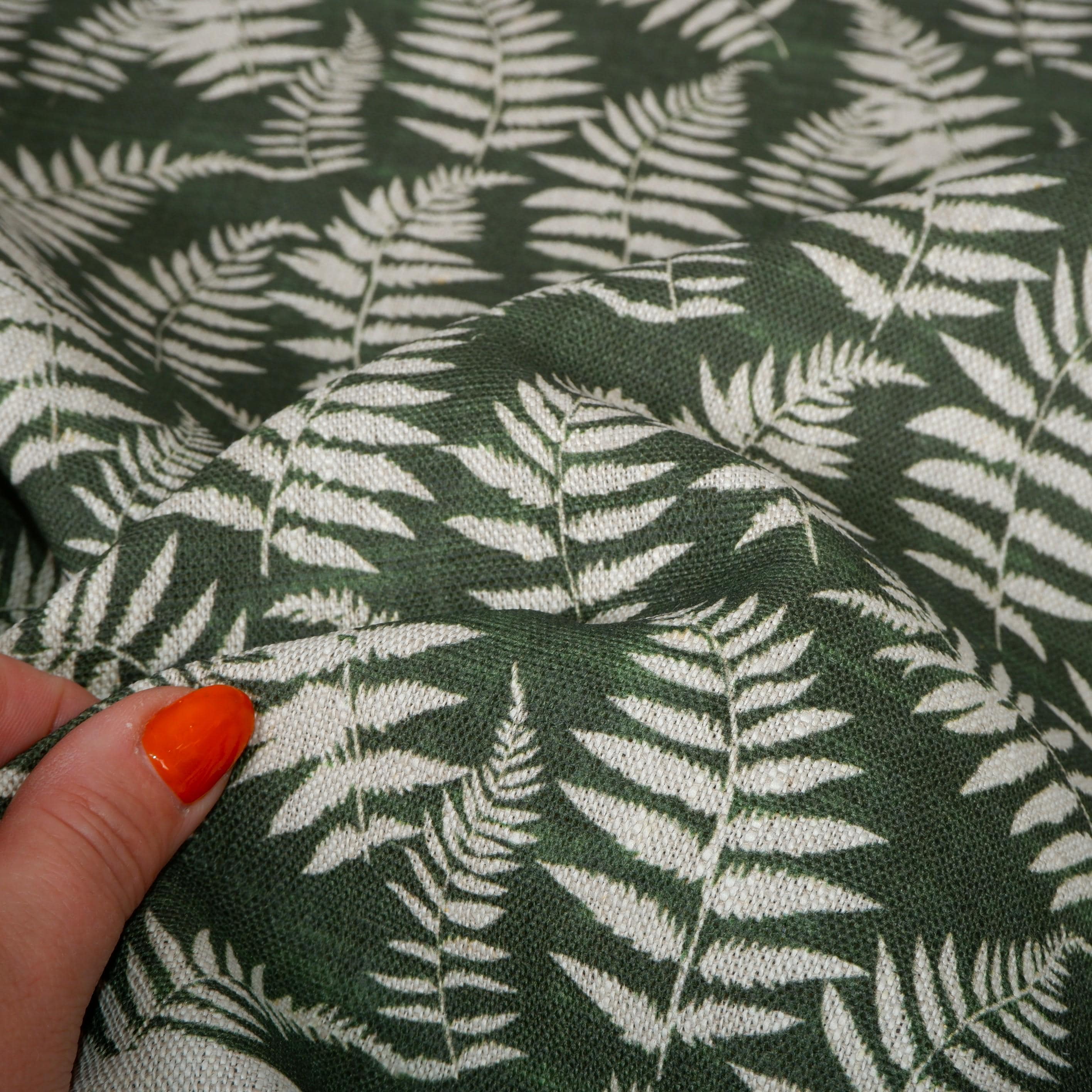 korbmarante schatten Pfauen-Korbmarante kaufen | Calathea orbifolia main image 1