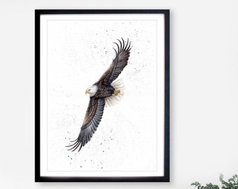 Flying Bald Eagle, Print in Various Sizes