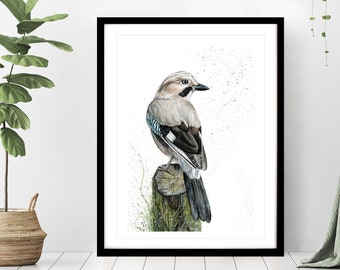 Wondering Jay Bird, Print in Various Sizes