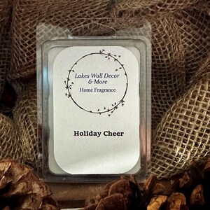 Holiday Cheer/ Winter Wax Melts/ Soy Wax Melts/ Strongly Scented Wax Melts/ Natural Wax Melts for Warmer