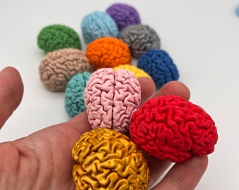 Small 3D-printed replica of a unique human brain (hard PLA)