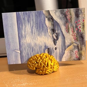 Portatarjetas de lugar cerebro