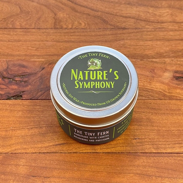 Nature's Symphony candle, Dungeons and Dragons candle, Fantasy candle, RPG gifts, Geek gift, Fireside, Rain water, Petrichor