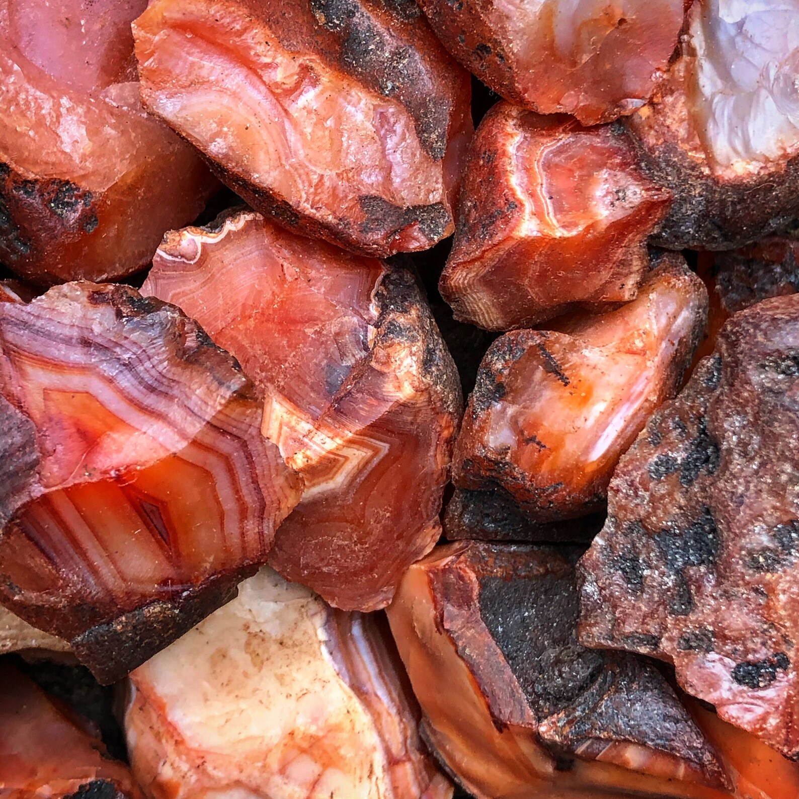 Raw Carnelian Agate 50g Pack Etsy
