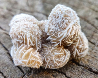 Desert Rose Selenite Small