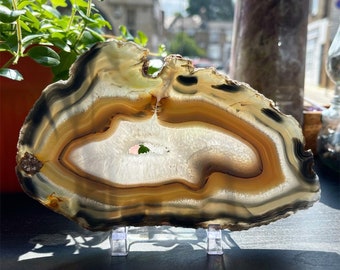 Blue / Brown Natural Agate Slice