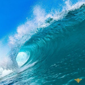 Bali Blue Surf Fragrance Oil | Hive and Honey | Candle and CP Soap Making Supplies, Melts, Lotion, Perfume, Diffusers | Phthalate Free