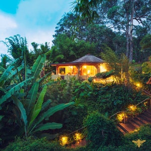 May include: A circular building with a brown roof and warm interior lighting is surrounded by dense green foliage. The building is set amongst tropical plants and trees, with a wooden staircase leading up to it. Fairy lights illuminate the steps.
