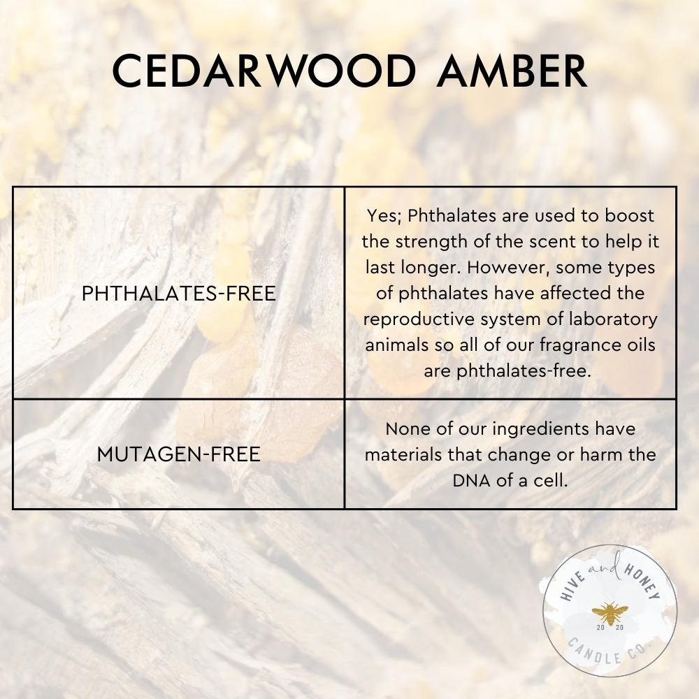 Cedarwood and Amber Fragrance Oil – Pro Candle Supply