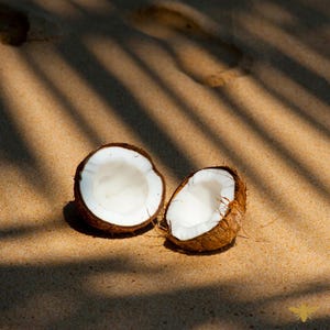 May include: Two halves of a fresh coconut on a sandy surface, with shadows from overhead foliage. The coconuts have brown, fibrous exteriors and white interiors. The scene evokes a tropical, beachy vibe.